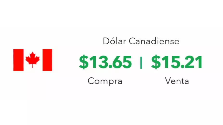 Tipo de cambio: Precio del dólar hoy 11 de septiembre 2024 en México