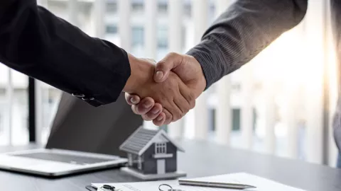 Conoce tus mejores aliados, según tu signo del zodiaco