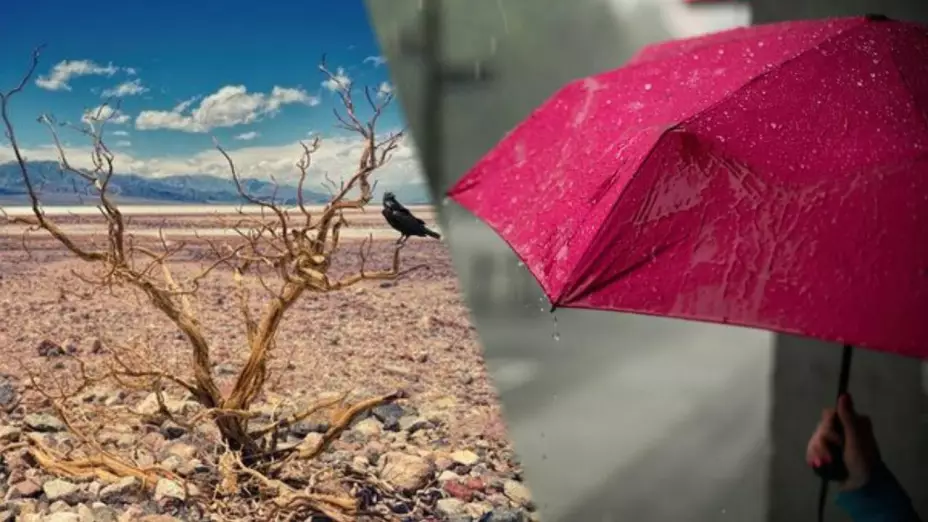 Lluvias después de sequía.jpg