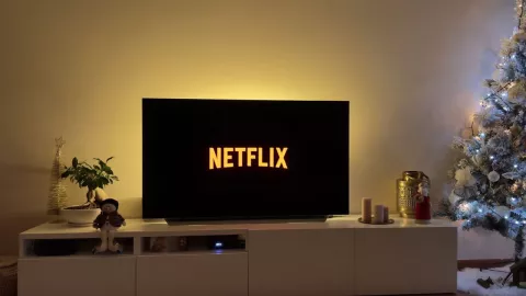 Estrenos de Netflix en noviembre de 2024