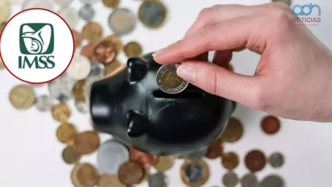 Pensión IMSS 2025: ¿Puedes perder tus semanas cotizadas para pensionarte si pasas años sin trabajar?