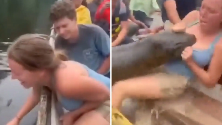 Video anaconda gigante atacando a mujer en lancha