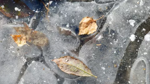 Frente Frío 27 en México ¿Qué zonas en Aguascalientes tendrán temperaturas congelantes