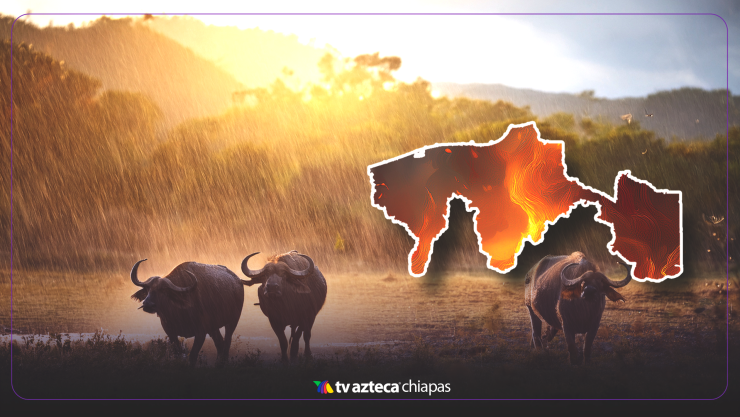 Clima en Tabasco hoy 23 de abril de 2025: SMN