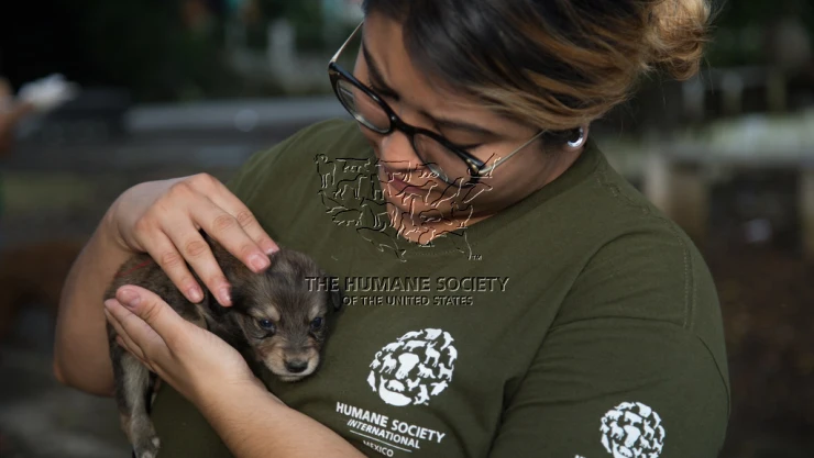 Ayuda de emergencia a animales