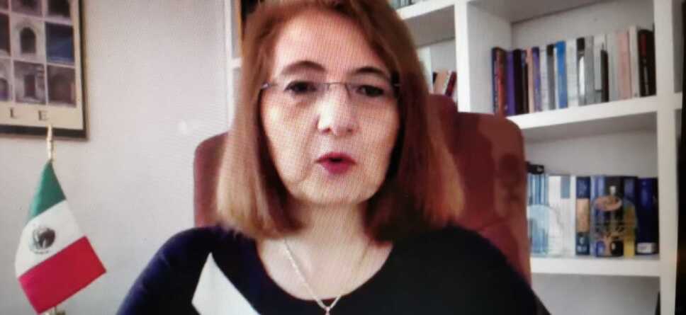Luz María de la Mora, subsecretaria de economía.jpg
