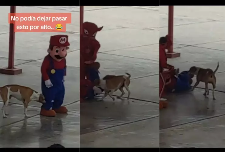 Perro ataca a Mario Bros