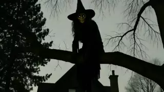 Bruja en el árbol de una casa
