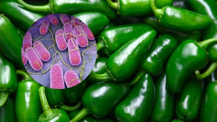 Chiles jalapeños relacionados con brote de salmonela