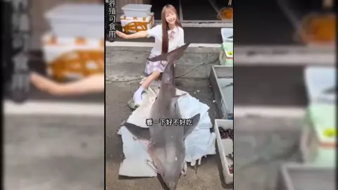 Influencer SE COME un tiburón blanco y la MULTAN