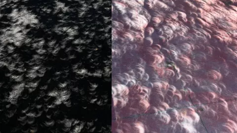 Diseño sin título - 2024-04-08T171412.237.jpg