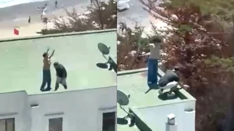 Pareja lanza polluelos