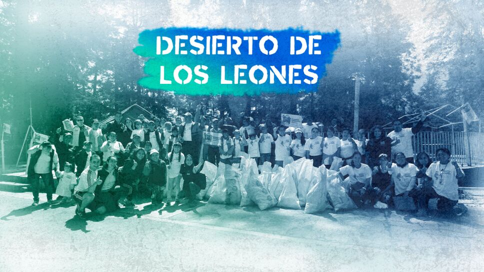desierto de los leones