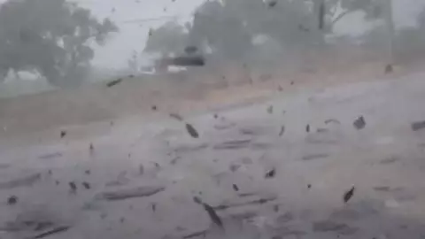 VIDEO Huracán Fiona ocasiona apagón general en Puerto Rico