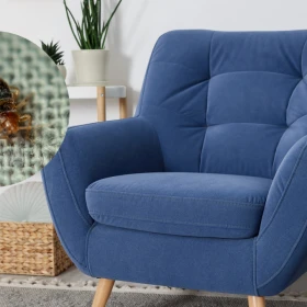 Cómo eliminar las chinches de mi sillón 4 ideas que sí funcionan según los expertos.png