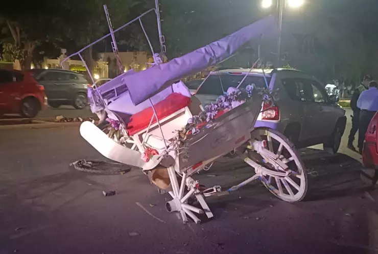 chocan calesa caballlo paseo montejo