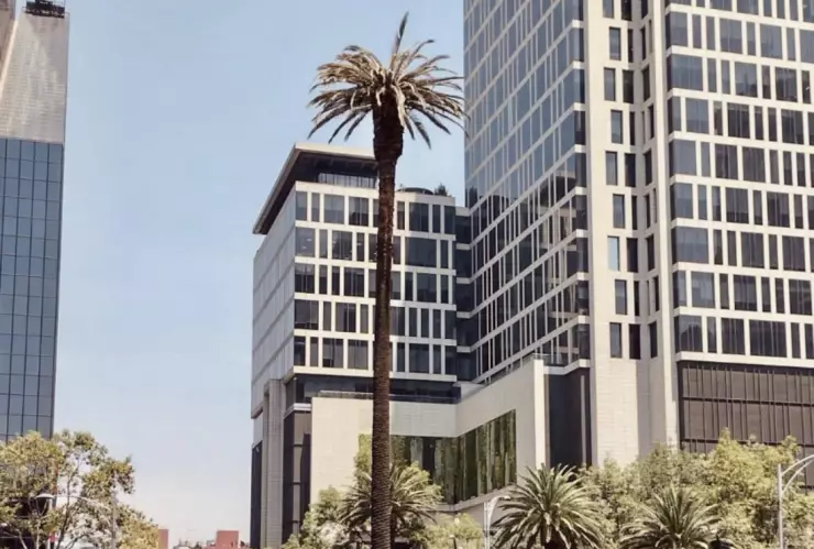 La Palma Paseo de la Reforma