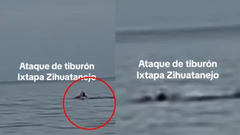 VIDEO: Revelan nuevas imágenes del ataque de tiburón en Zihuatanejo