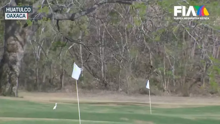 En el campo de golf de Tangolunda los principales afectados son sus trabajadores