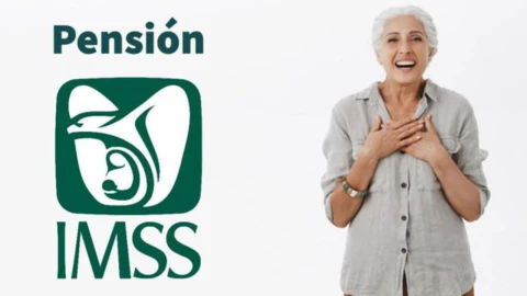Adultos mayores que quieran incrementar el monto de su Pensión IMSS pueden acceder a la Modalidad 40.