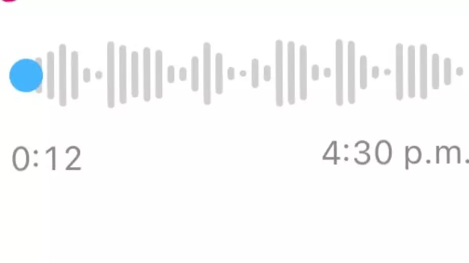 ¿Cómo se ve la transcripción de audio a texto en WhatsApp?