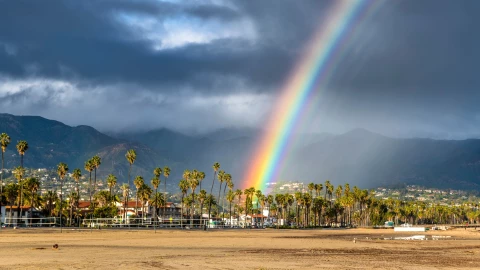 El arcoíris se recuesta detrás de las palmeras en una playa de California, luego de la lluvia