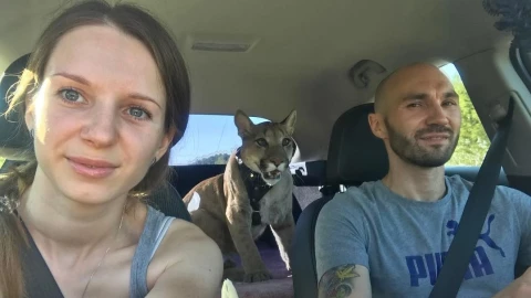 pareja rusa y su puma mascota.jpg