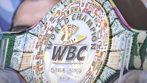 Pelea Canelo Álvarez vs John Ryder