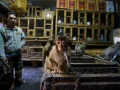 ¿Retrato de dolor? Un macaco cola de cerdo encadenado se convierte en una atracción para un mercado de pájaros de Indonesia.