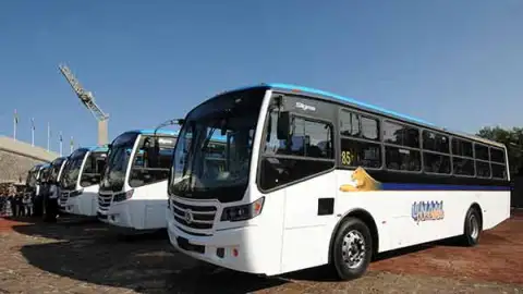 PUMABUS
