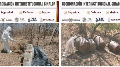 Seguridad en México