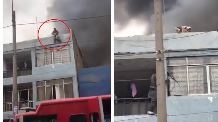 “Era difícil verlos morir así" Hombre rescata 25 perros de un incendio.jpg
