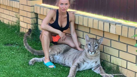 influencer adopta puma salvaje.jpg