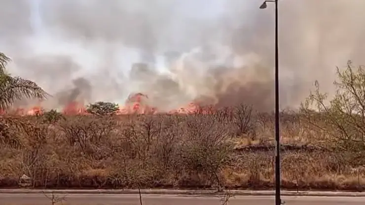 Incendio Cerro Gordo León hoy