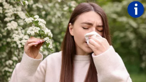 Las mejores plantas para tratar las alergias durante la primavera, según la IA.jpg