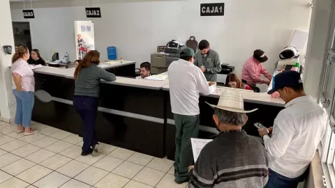 Tesorería Culiacán