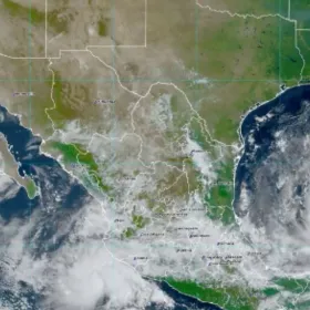 ¿Qué estados están en alerta por el huracán Milton de categoría 5?.jpg
