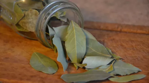 laurel atraer suerte