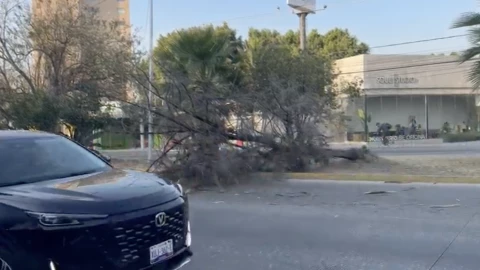 Captura de pantalla 2026-02-19 a la(s) 8.36.43 a.m..png