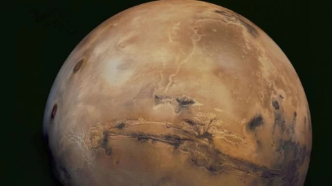 Vida extraterrestre en nuestro Sistema Solar