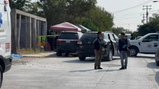 atropellada por su madre