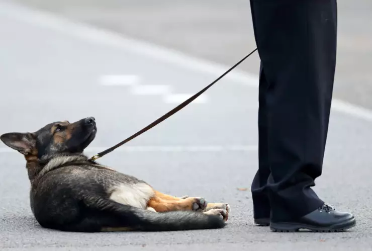 The Duke Of Cambridge Attends The Metropolitan Police Service Passing Out Parade For New Recruits