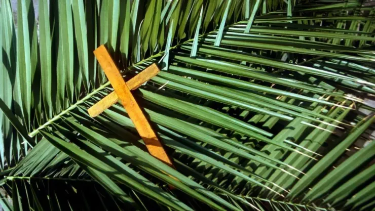 Las palmas y una cruz católica para simbolizar el Domingo de Ramos.
