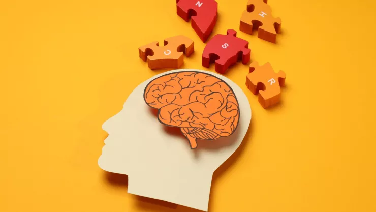 Los mejores alimentos para fortalecer la salud cerebral y la memoria