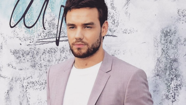liam payne desnudo