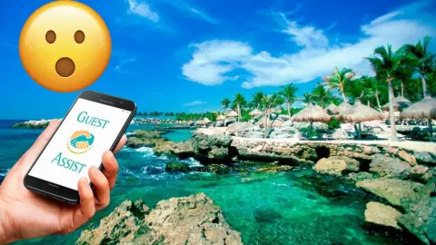 Conoce qué es la Guest Assist, la app para turistas en Quintana Roo