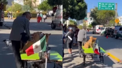 Desfile de perritos en Tijuana por la Revolución Mexicana