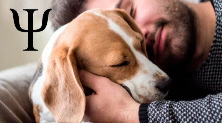 que-significa-alguien-gusten-mucho-perros-segun-psicologia-pbg-notas-mt