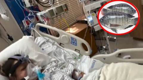 Mujer consume pescado contaminado