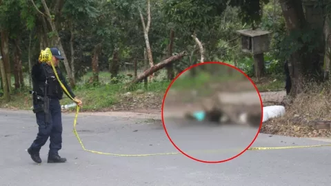 Así encontraron el cuerpo de la maestra asesinada por su hija en Veracruz